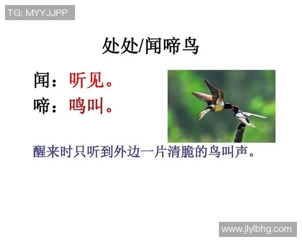 古诗词中的足球巨星名,融古典诗意与现代竞技魅力的奇妙结合 古诗词中的足球巨星名,融古典诗意与现代竞技魅力的奇妙结合